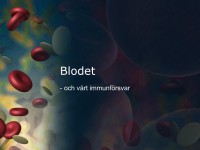 /album/blodet/a6-blodet-001-jpeg/